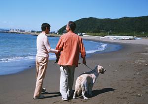 温暖で広大な最高の立地環境の老犬ホーム