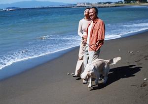 旭川を代表する緑豊かな動物病院：緑の森どうぶつ病院 旭神センター病院の全貌