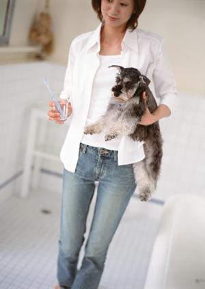 シロアリ駆除ならアサンテ｜土日祝も対応、即日施工可能な信頼のサービス