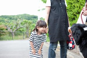 シロアリ駆除の信頼と実績のアサンテ｜即日対応・土日祝も受付